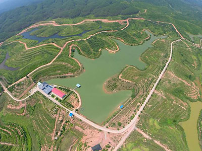 �۵�ɭ���c���ս�����W��(sh��)��WԺ��ӆ�͘I(y��)�������ز�����