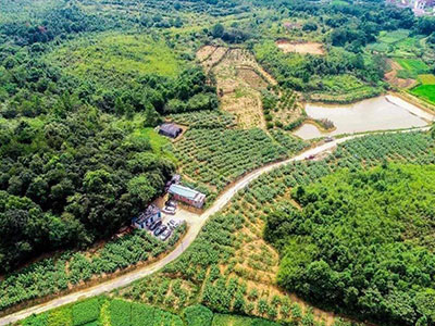 �A��ɰ�{���@Щ��(y��u)������֪��